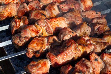 Gürcü Mtsvadi bbq çatalı pişirme