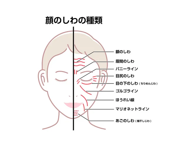 顔のしわ 女性の顔 ベクトルイラスト 日本語 — ストックベクタ