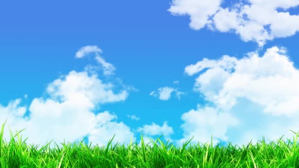 Animation Von Wolken Die Den Blauen Himmel Fließen Mit Grünem — Stockvideo