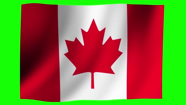 Анімація Національного Прапора Махає Вітром Зелений Фон Ключа Хроми Канада — стокове відео