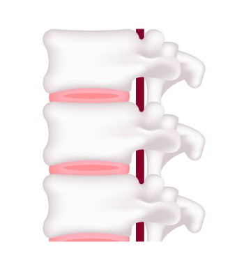 Normal diskin vektör illüstrasyonu