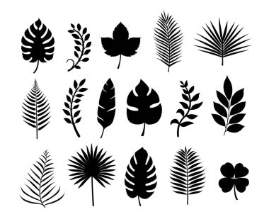 Yaz tropik bitki yaprağı silüeti çizimi