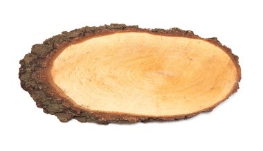 Kesilen ağacın profilini temsil eden bir huş ağacı dilimi.