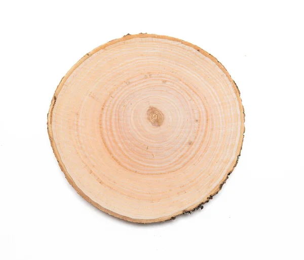 Eine Scheibe Buchenholz Die Das Profil Eines Gefällten Baumes Darstellt — Stockfoto