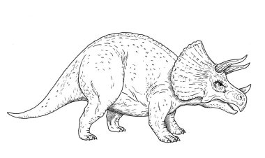 Dinozor çizimi - Triceratops 'un el çizimi, siyah-beyaz çizimi