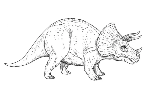 Drawing Dinosaur Hand Sketch Triceratops Black White Illustration — Stock Vector