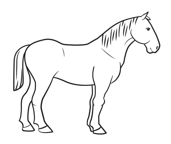 Projeto Cavalo Ilustração Estoque Esboço Simples —  Vetores de Stock