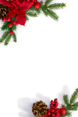 Noel süsü. Kırmızı noktalı çiçek, yılbaşı ağacı dalı, kırmızı böğürtlen, beyaz arka planda çam kozalağı ve yazı için boşluk. Üst manzara, düz uzanma