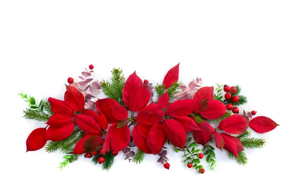 Decoração Natal Flores Poinsettia Vermelho Árvore Natal Ramo Bagas Vermelhas — Fotografia de Stock