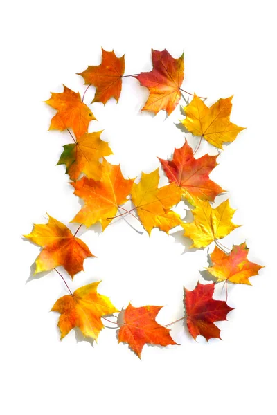 stock image Number 8 from of colorful autumnal maple leaves on white background. Top view, flat lay