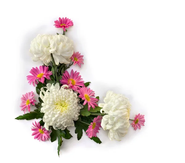 Bukiet Kwiatów Biały Różowy Chryzantemy Morifolium Białym Tle Miejscem Tekst — Zdjęcie stockowe