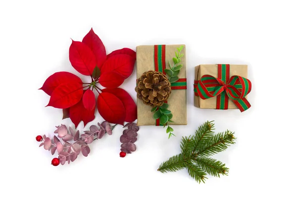 Christmas Decoration Gift Boxes Red Poinsettia Flowers Christmas Tree Branch — Stock Photo, Image