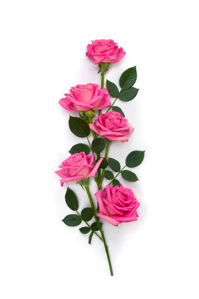 Pink Flowers Roses White Background Space Text Top View Flat — Stok fotoğraf