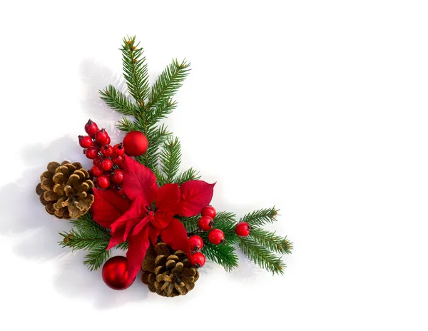Christmas Decoration Flower Red Poinsettia Branch Christmas Tree Red Berries — Stock Photo, Image