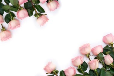 Frame of flowers pink roses on a white background with space for text. Top view, flat lay