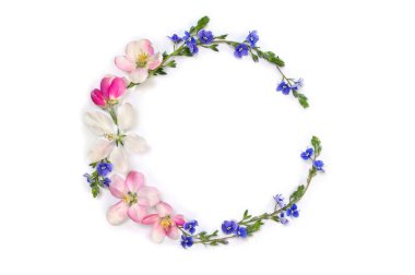 Wreath of flowers apple tree and blue wildflowers forget-me-nots on a white background with space for text. Top view, flat lay
