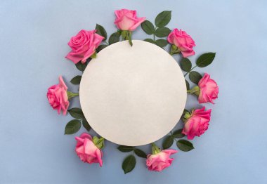 Flowers pink roses with white circle paper card note with space for text on a blue background. Top view, flat lay