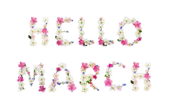 Hello March Lettering Text Flowers Apple Tree Blue Wildflowers Forget — Stock Photo, Image