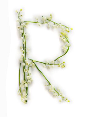 Letter R of white flowers Lily of the valley ( Convallaria ) on a white background. Top view, flat lay