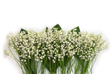 Beyaz çiçekli vadi zambağı (Convallaria majalis, Mayıs çanları, nilüfer çiçekleri) beyaz arkaplan üzerinde yeşil yapraklar ve yazı için boşluk. Üst manzara, düz uzanma