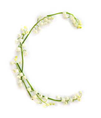 Letter C of white flowers Lily of the valley ( Convallaria ) on a white background. Top view, flat lay