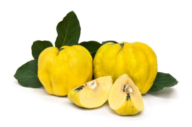 Beyaz arka planda yeşil yapraklı olgun sarı ayva (Cydonia oblonga)