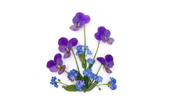 Flores Viola Tricolor Pansy Flores Silvestres Azules Forget Nots Sobre —  Fotos de Stock