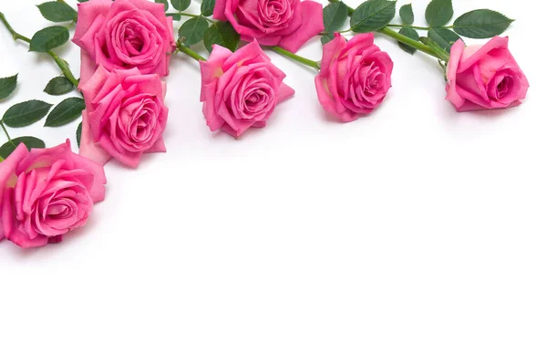 Strauß Rosa Blumen Rosen Auf Weißem Hintergrund Mit Platz Für — Stockfoto