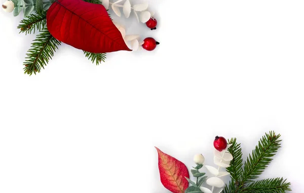 Christmas Decoration Flower Red Poinsettia Branch Christmas Tree Red White — Stock Photo, Image