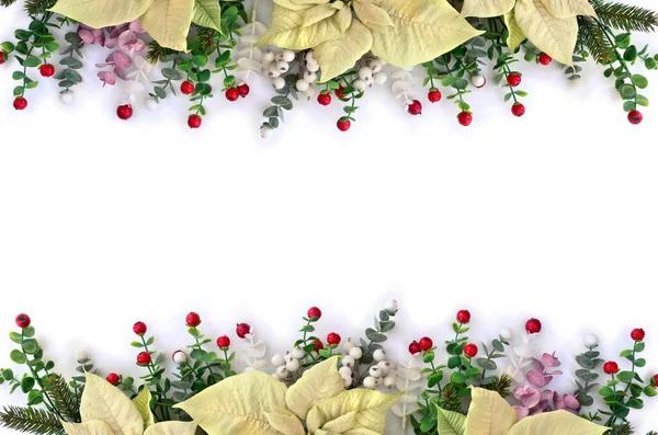 Karácsonyi Dekoráció Keret Virágok Fehér Poinsettia Karácsonyfa Bogyók Fagyöngy Piros — Stock Fotó