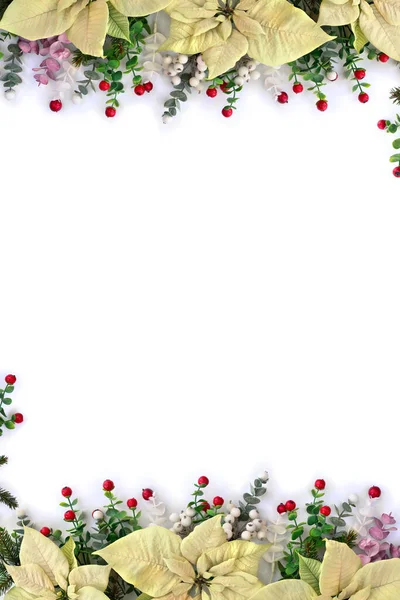 Christmas Decoration Frame Flowers White Poinsettia Branch Christmas Tree Berries — Stock Photo, Image