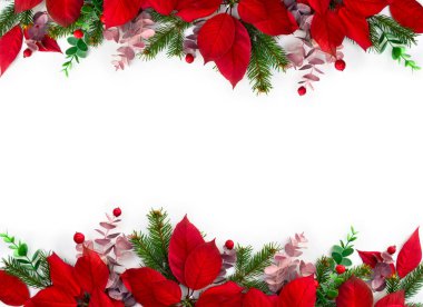 Noel süsü. Kırmızı noktalı çiçekler, dallı noel ağacı, beyaz arka planda kırmızı böğürtlenler ve metin için boşluk. Üst manzara, düz uzanma