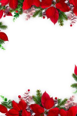 Noel süsü. Kırmızı noktalı çiçekler, dallı noel ağacı, beyaz arka planda kırmızı böğürtlenler ve metin için boşluk. Üst manzara, düz uzanma