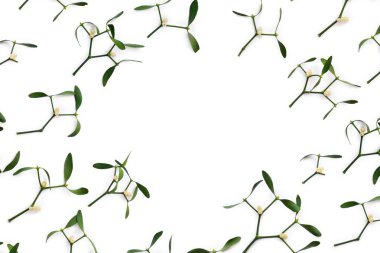 Beyaz arka planda yapraklı dallar ve beyaz ökseotu böğürtlenleri ve metin için yer var. Üst manzara, düz uzanma