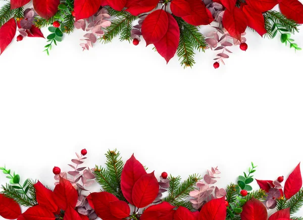 Christmas Decoration Flowers Red Poinsettia Branch Christmas Tree Red Berries — Stock Photo, Image