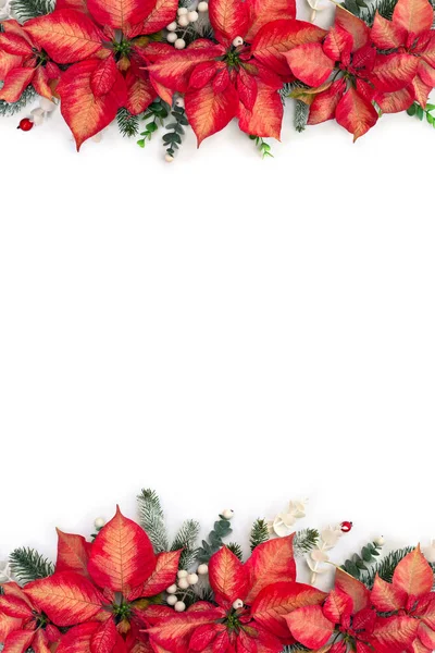 Christmas Decoration Flowers Red Orange Poinsettia Branch Christmas Tree Berries — Stock Photo, Image