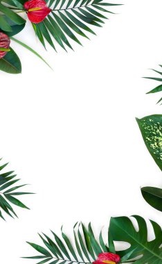 Tropical palm leaf and dieffenbachia, monstera, ficus benjamina, red flowers Anthurium on white background with space for text. Top view, flat lay