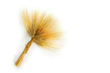 Beyaz arka planda bir sürü arpa ve yazı için yer var. Üst manzara, düz uzanma