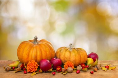 Balkabakları, sarı armutlar, elmalar ve sonbahar akçaağaç yaprakları sonbahar güneşi ışığında ahşap masa üzerinde