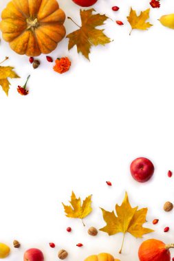 Balkabağı, meşe palamudu, kırmızı elma, kırmızı elma, sarı armut ve beyaz arka planda sonbahar renkli akçaağaç yaprakları. Üst manzara, düz uzanma