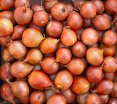 Soğan yığınının üst görünümü, organik doku arkaplanı