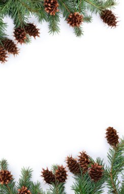 Kozalaklar ve dallar çam ağacı (Pseudotsuga menziesii, Douglas fir, Douglas-fir, Douglas tree, Oregon çamı) beyaz arkaplan üzerinde metin için alan bulunur. Üst manzara, düz yatış. Noel süslemesi