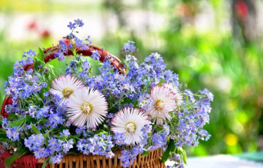 Bir buket mavi çiçek, unutma beni papatyaları sepette, arka plan bulanık, metin için yeri var.