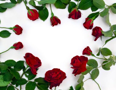 Kırmızı çiçek çerçevesi beyaz zemin üzerinde beyaz arkaplan üzerinde kalp şeklinde yapılmış ve metin için yer var. Üst manzara, düz uzanma