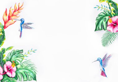 Tropik dekorasyon. Pembe amber çiçekleri, yapraklar palmiye ağaçları, canavar yeşili yapraklar, beyaz kağıtta beyaz arka planda mavi sinekkuşları, yazı için boşluk. Resim suluboya resim. Üst görünüm