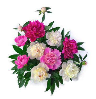 Beyaz arka planda izole edilmiş palmiye yaprakları ve metin için boşluk. Üst manzara, düz uzanma