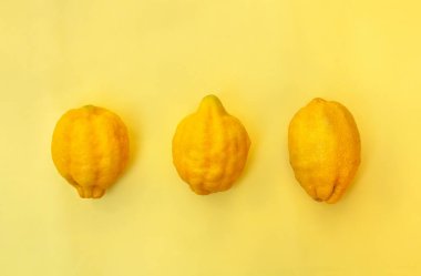 Beyaz arka planda izole edilmiş palmiye yaprakları ve metin için boşluk. Üst manzara, düz uzanma