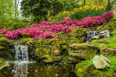 Hollanda 'daki Keukenhof çiçek ve lale parkı. Hollanda 'da güzel bir açık hava manzarası. Çiçek bahçesindeki su kanalları