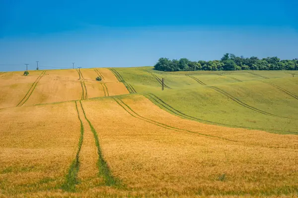 Tractor tracks cutting through a field. Tractor wheel track running through field landscape, The Czech republic.