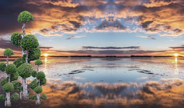 Bahçe bahçesindeki bonsai ağacı deniz manzaralı gün batımı